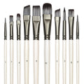 Professional Paint Brush Set for Acrylic, Gouache, Oil, and Watercolor - 10 Synthetic Nylon Brushes for Artists